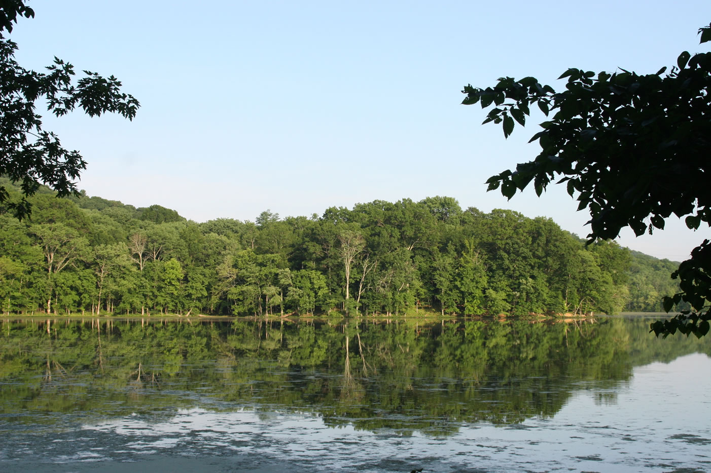 Radnor Lake, where we got engaged
